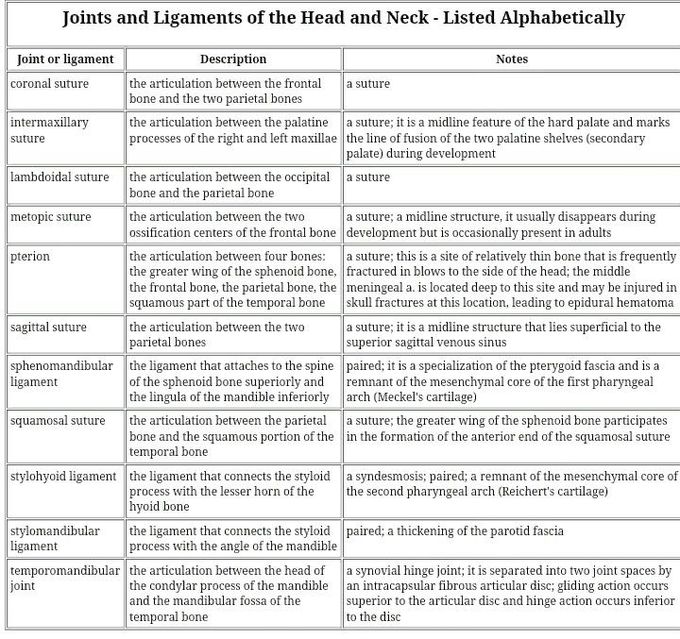 Joints and ligaments