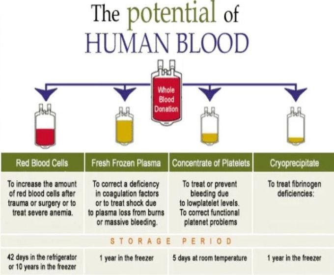 Potential of human blood