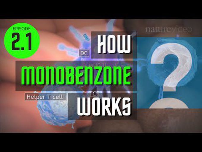 Monobenzene -working