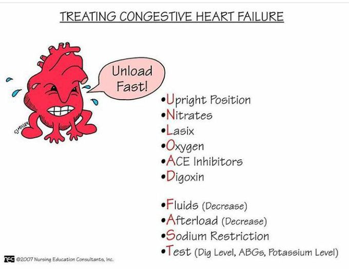 Cardiology