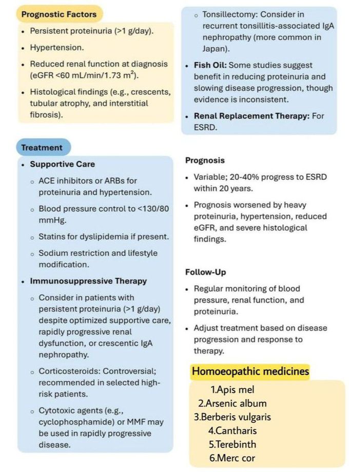 IgA Nephropathy III