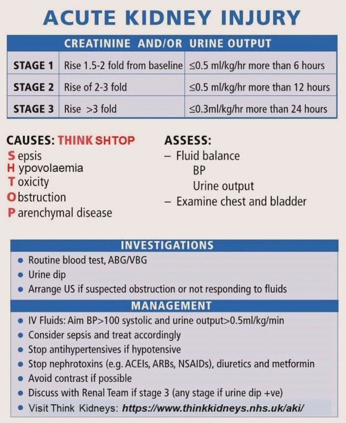 Acute Kidney Injury