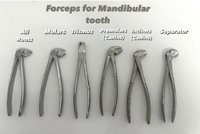 Forceps for Mandibular Teeth