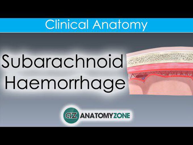 Subarachnoid Space and the Clinical Relevance