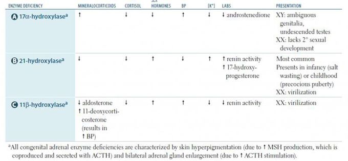 Congenital Adrenal Hyperplasia