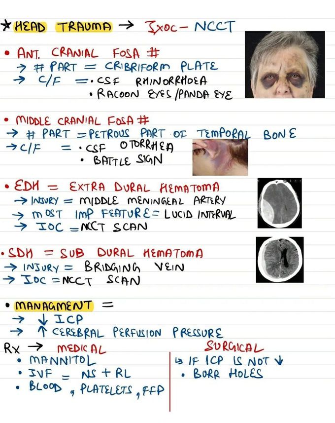 Surgical Trauma II