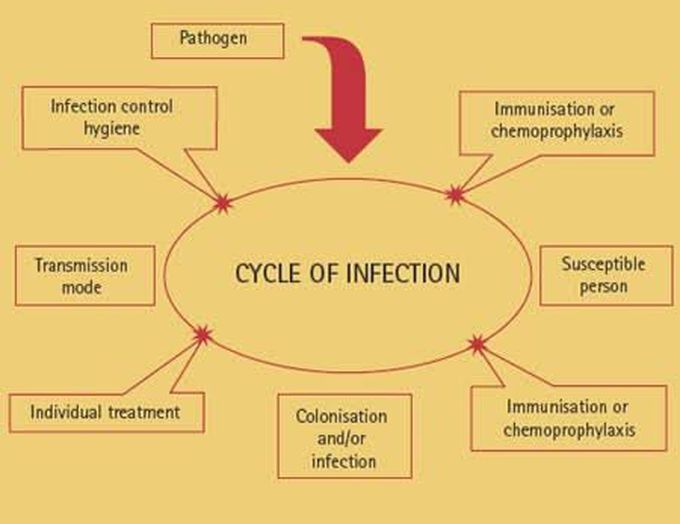 Cross infection in dental professionals