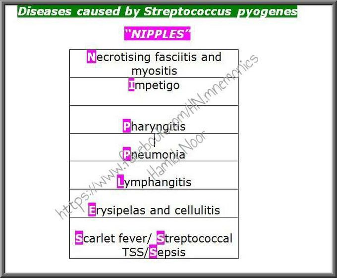 Diseases caused by strep pyogenes