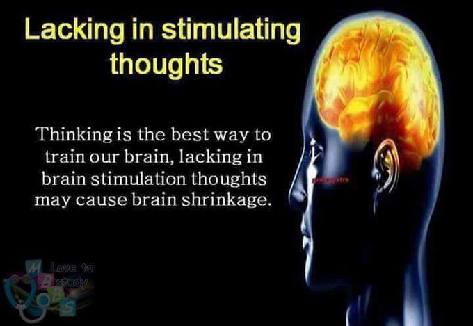 Facts About Human Brain