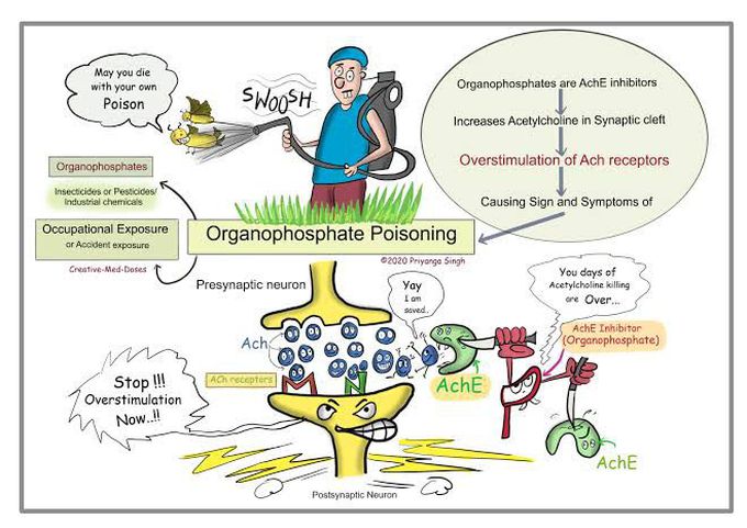 Organophosphorus Poisoning
