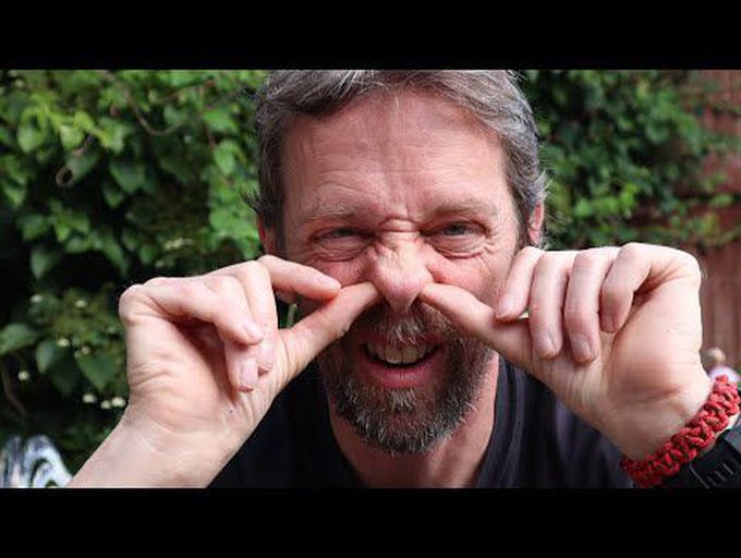 Nasal cartilages