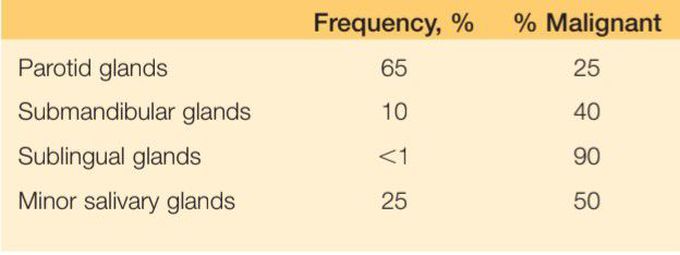 Salivary gland tumors