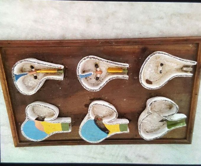 Whats this embryological development