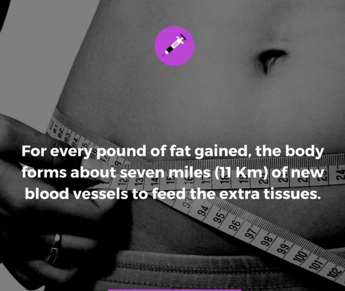 Fat 👎👎