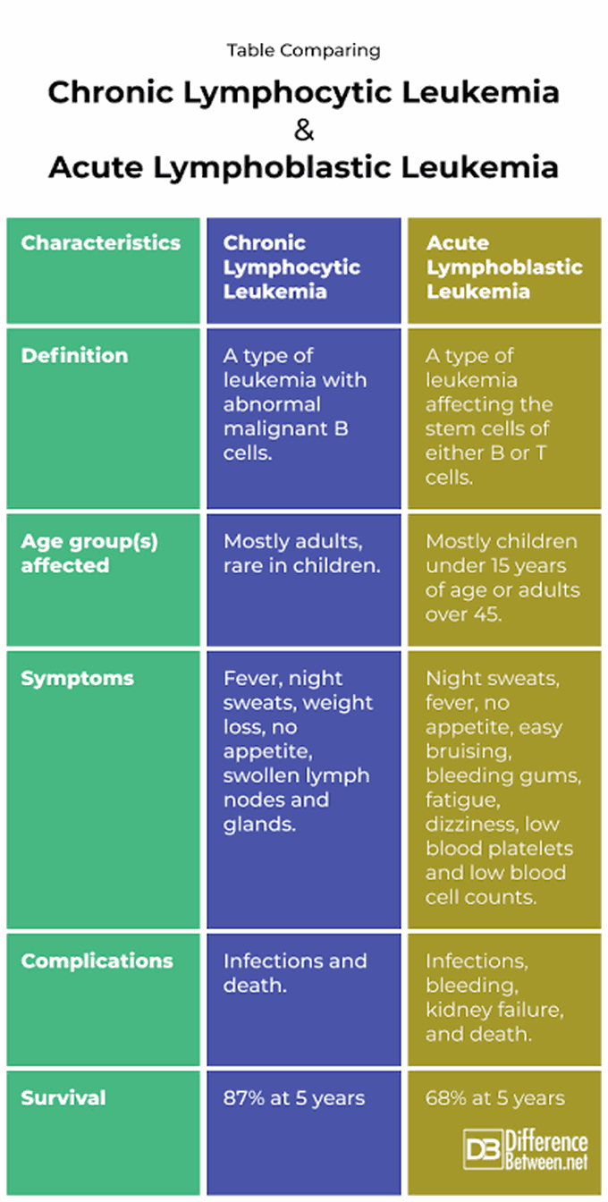 Chronic Lymphocytic Leukemia vs Acute Lymphocytic Leukemia