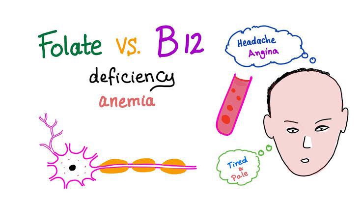 Symptoms Of Folate Deficiency Anemia MEDizzy
