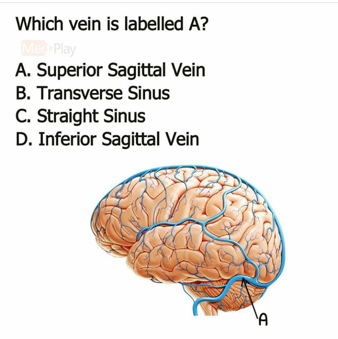 Answer??