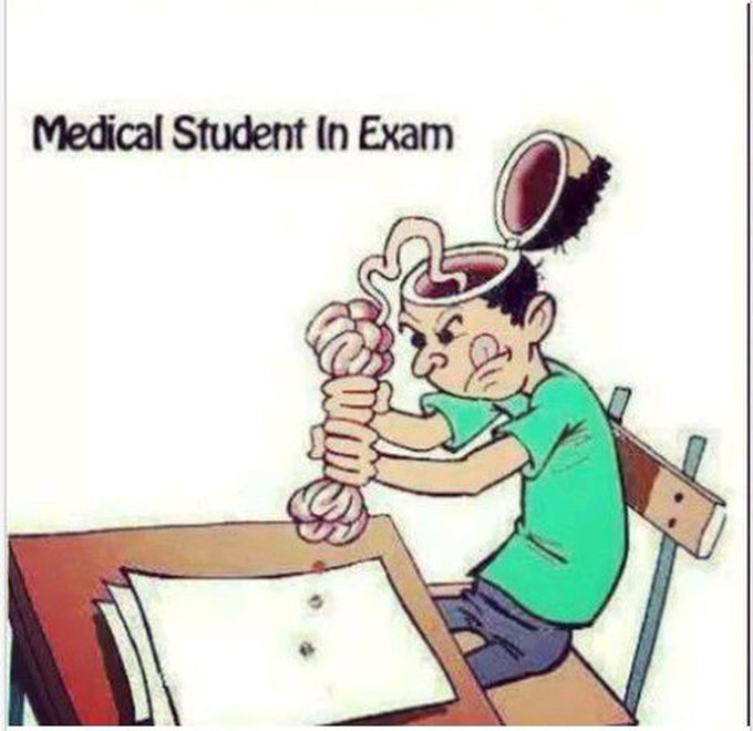 Hard studies