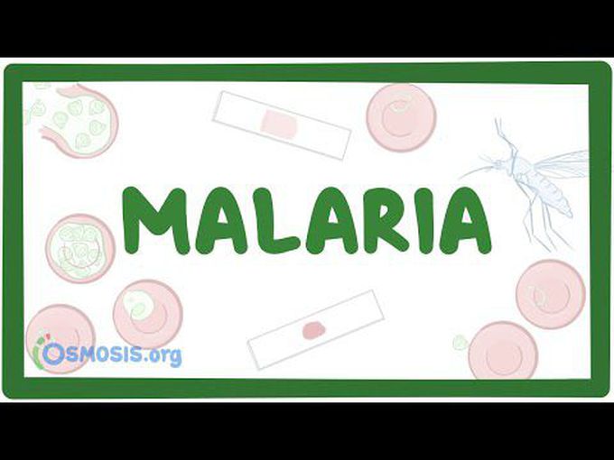 Malaria