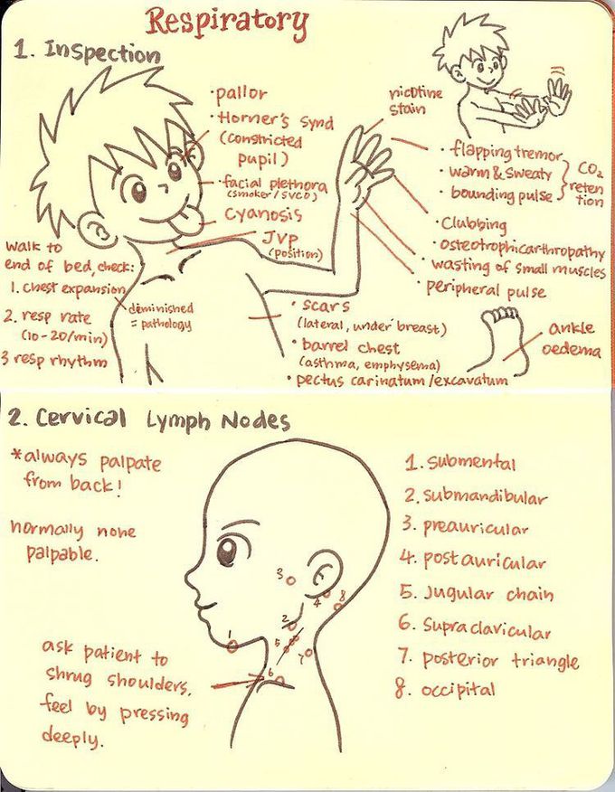 lymph nodes ex