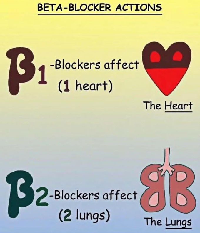 Beta Blocker Actions