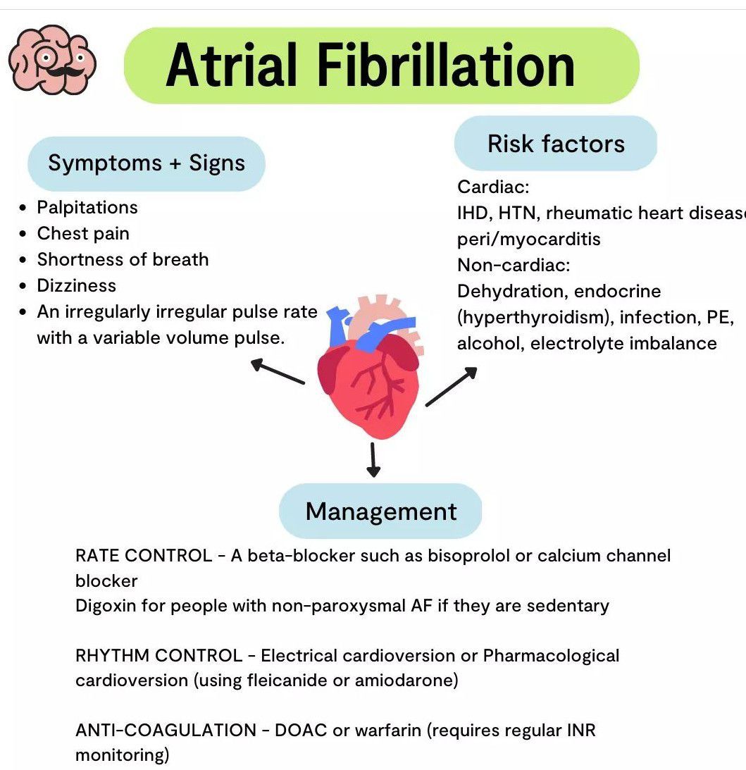 Atrial Fibrillation - MEDizzy