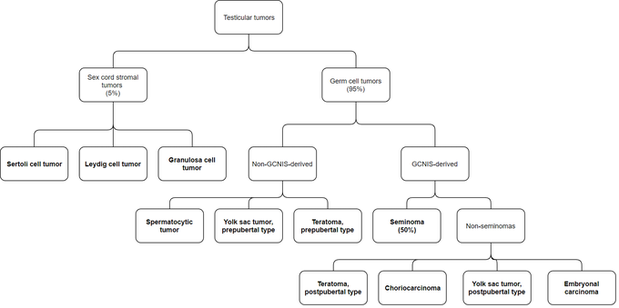 Classification of Testicular Tumors