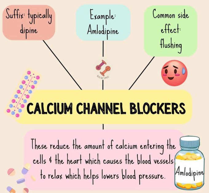 Calcium Channel Blockers