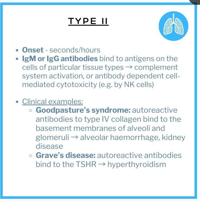 Type II Hypersensitivity