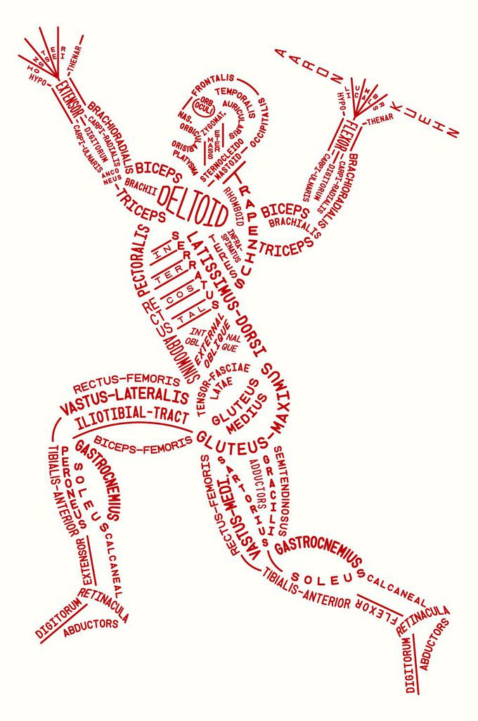 Muscular Typogram by Aaron Kuehn