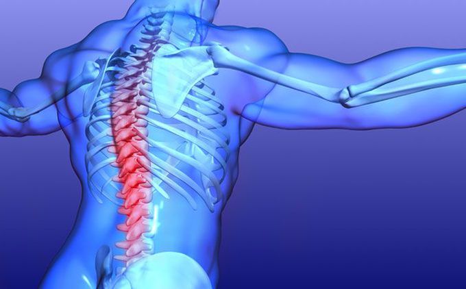 What are the symptoms of an acute spinal cord injury?
