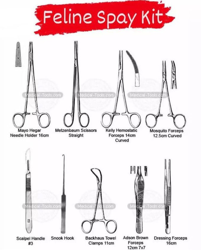 feline spay kit