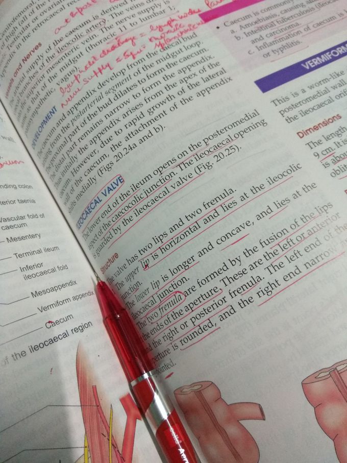 Exams preparation.. Any tips for better result guys????
