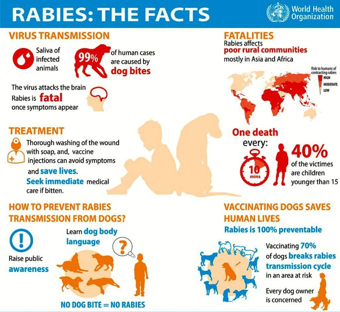 Rabies
