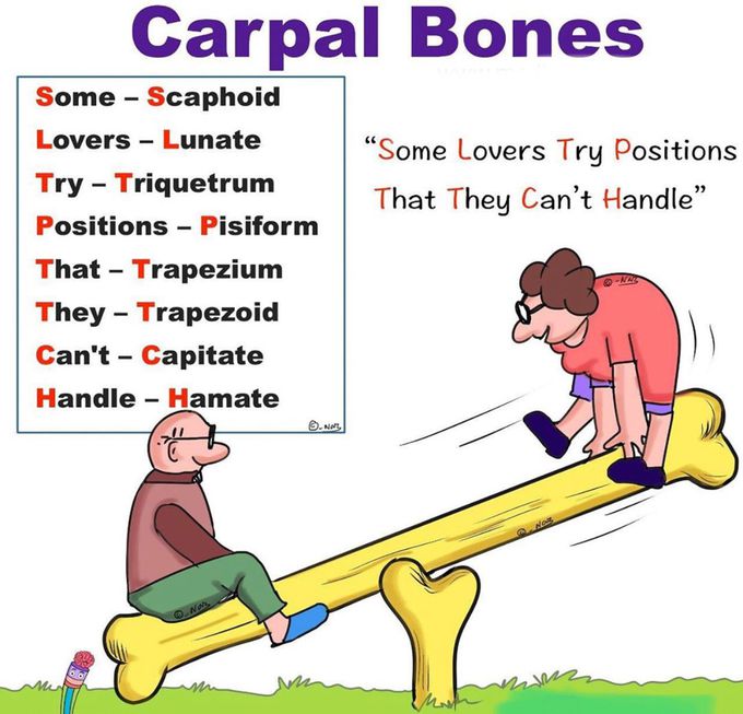 Some Lovers Try Positions That They Can’t Handle 😉
