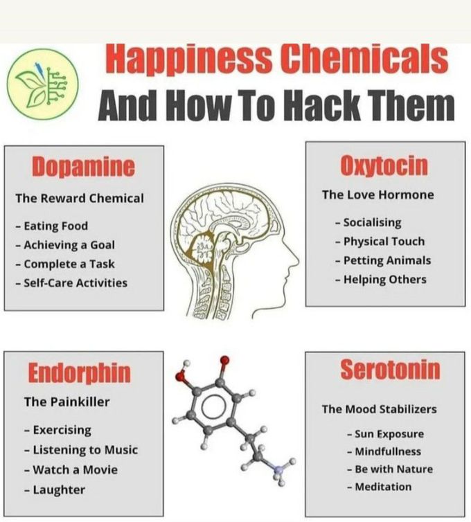 HORMONES