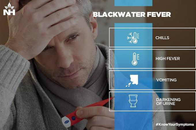 Symptoms of black water fever