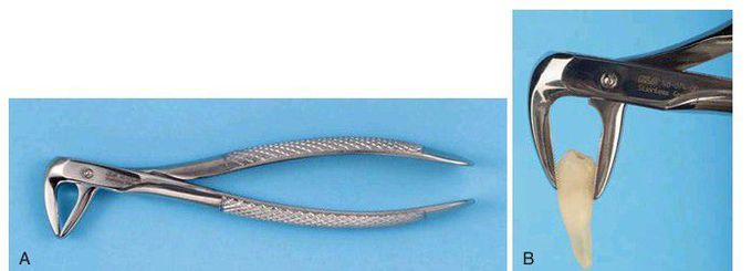 Extraction forceps