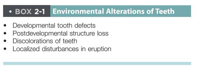 Environmental alterations of teeth
