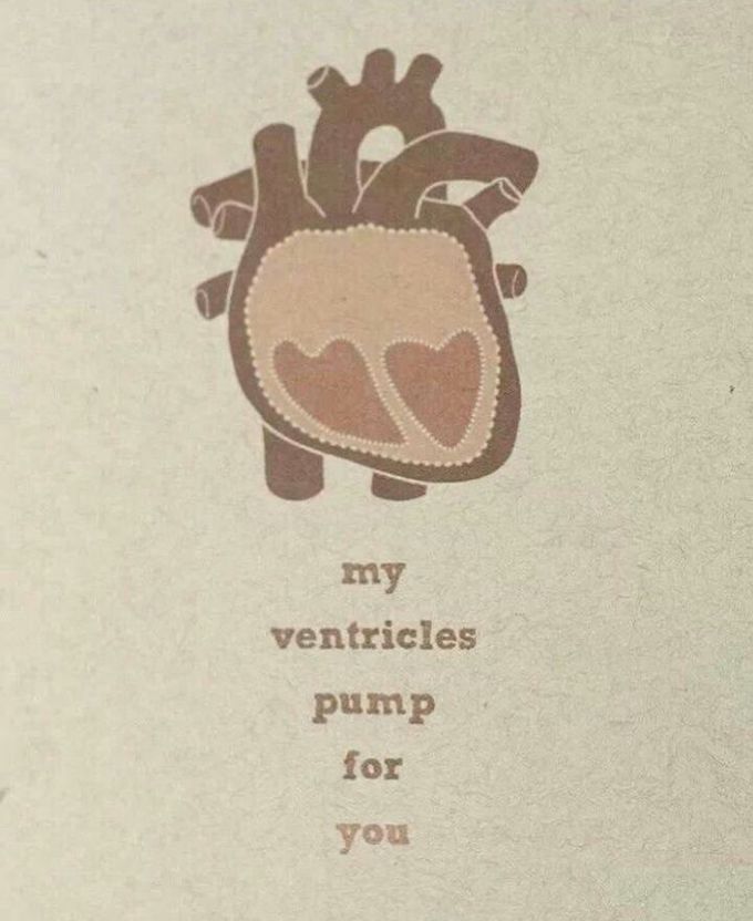 My ventricles pumps for you