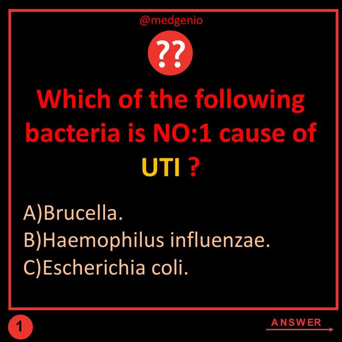 Microbiology Q&A