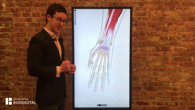 What is Carpal Tunnel?