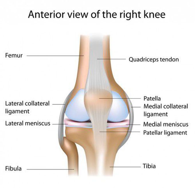 Meniscal Tear of the Knee