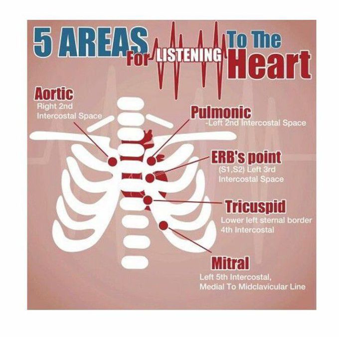 5 areas for listening to the heart