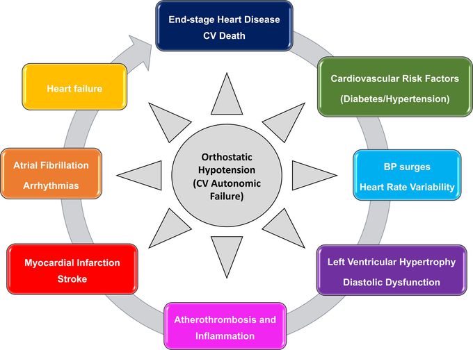 Complications of orthostatic hypotension