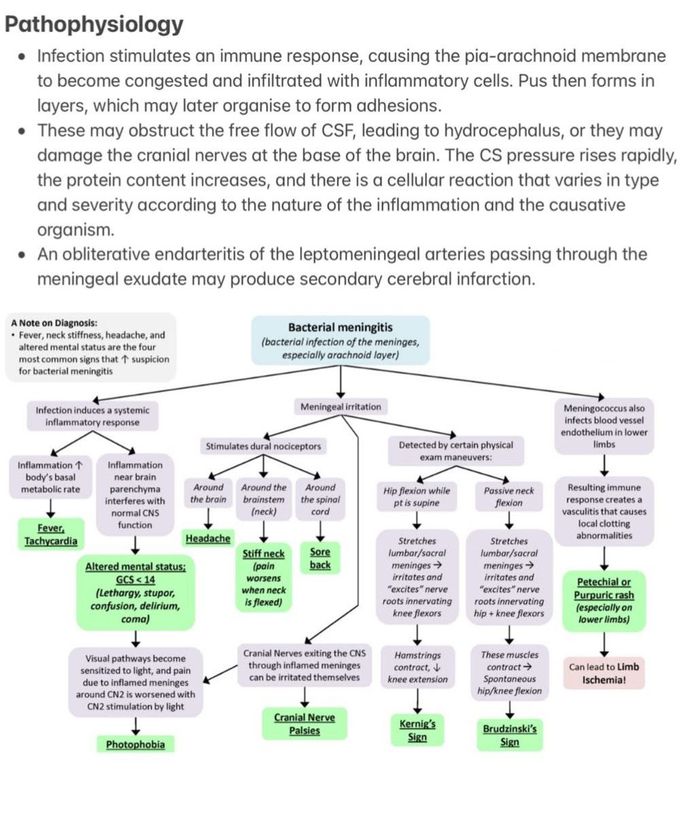 Acute Bacterial Meningitis III