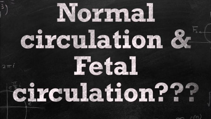 Difference between Normal Circulation And Fetal Circulation.