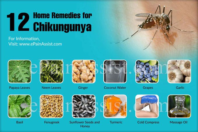 Treatment for Chikungunya