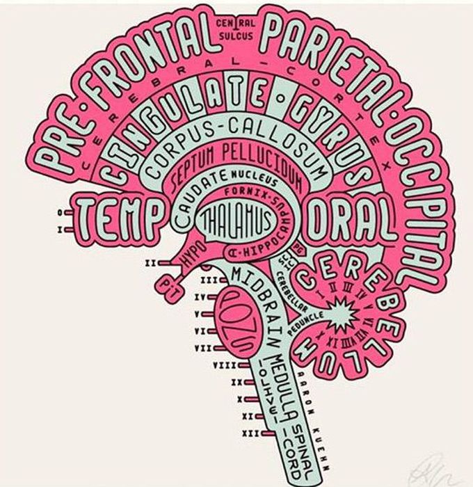 Brain Typogram