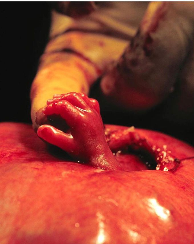 Hand of hope and the earliest human interaction ever recorded.